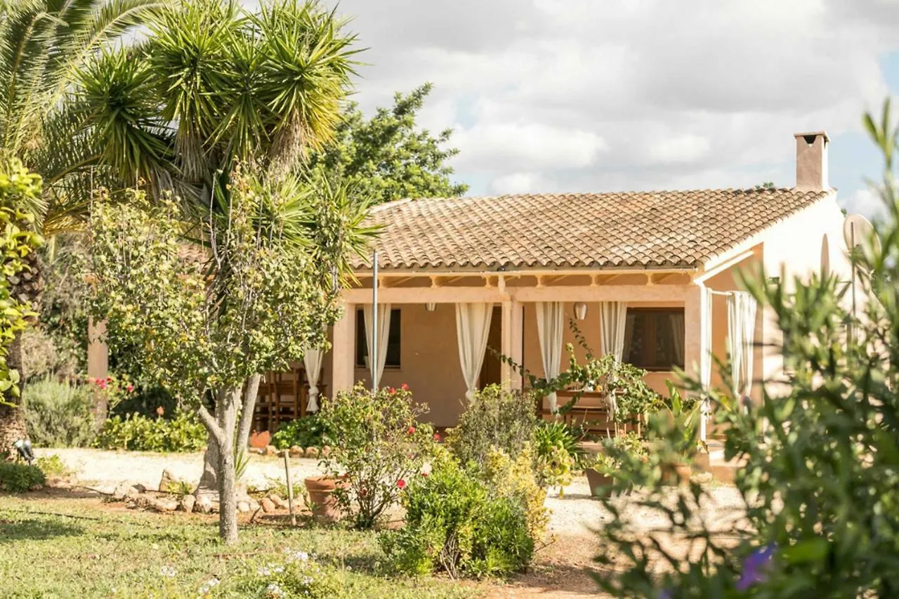 Finca Flora Cas Nets Llucmajor  Ferienhaus
